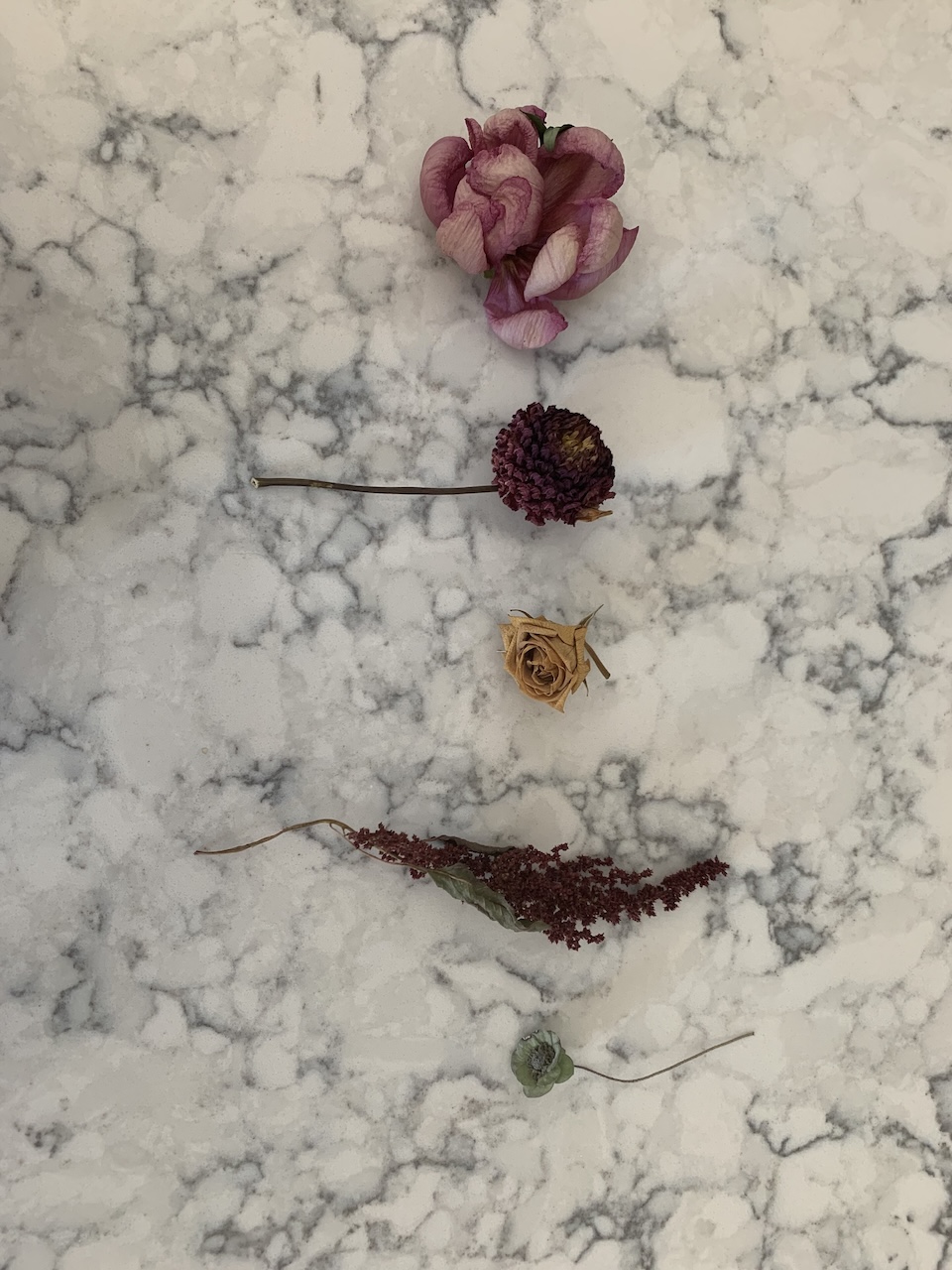 Dried Flower Row
