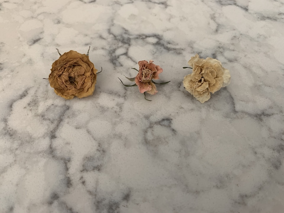 Silica Dried Roses Dried Flowers