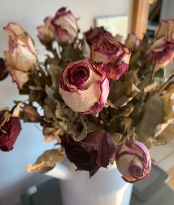 dried flowers feature