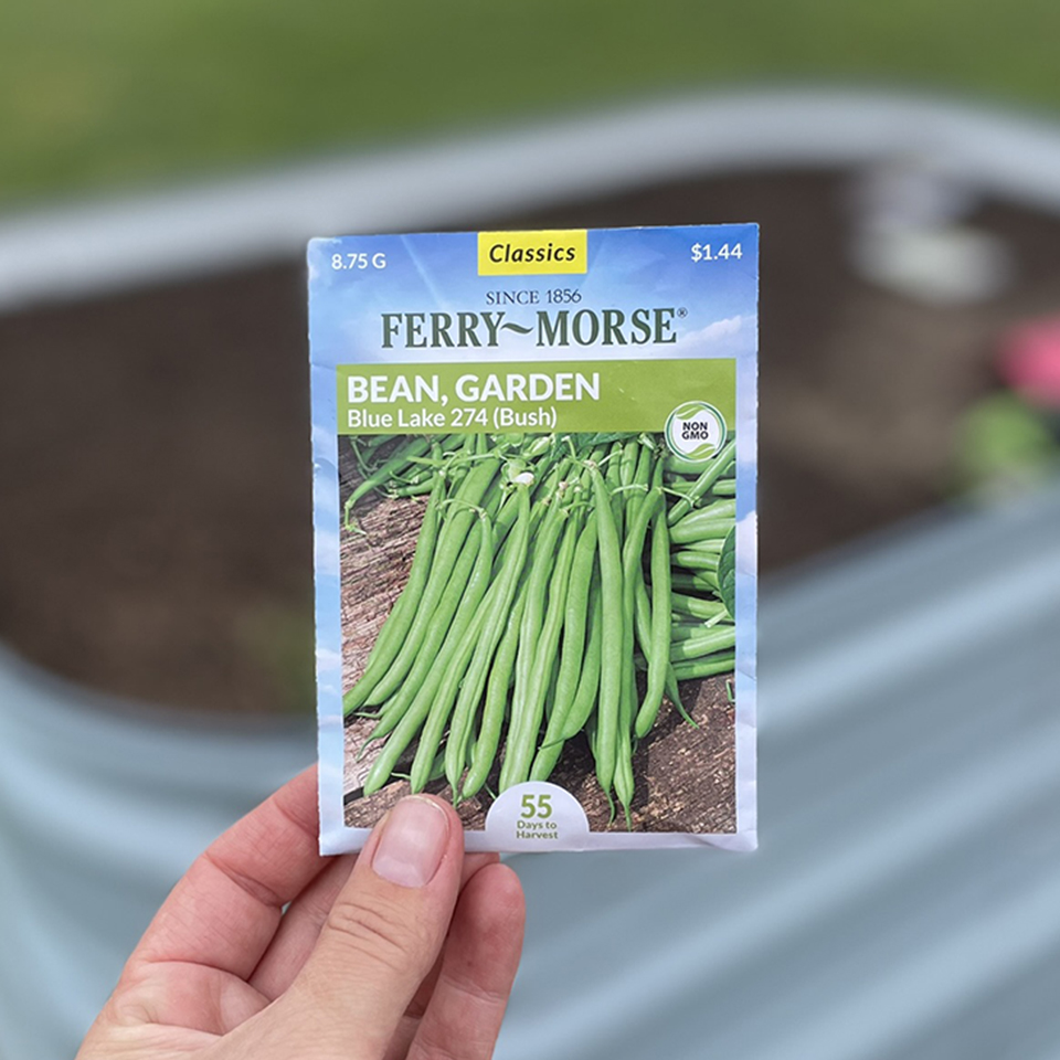 Bush bean seed packet