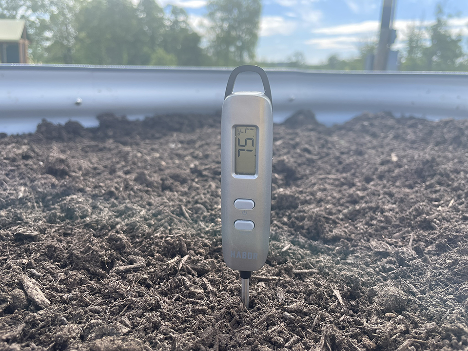 Checking soil temperature