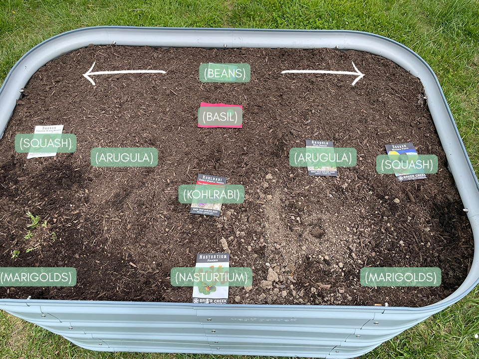 Plant layout