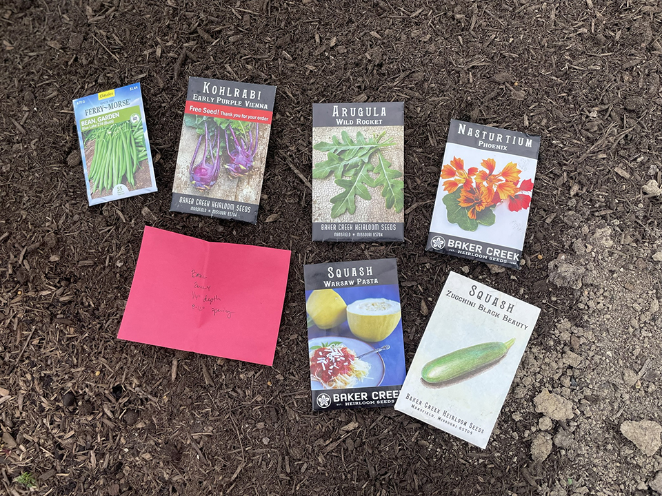 Seed Packets