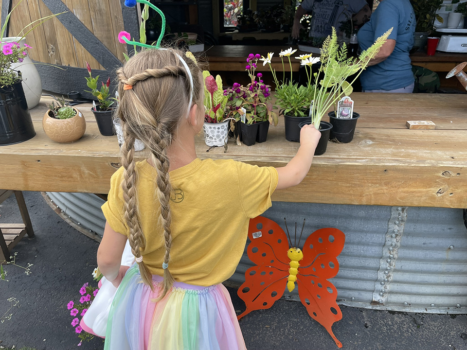 Buying plants for the garden