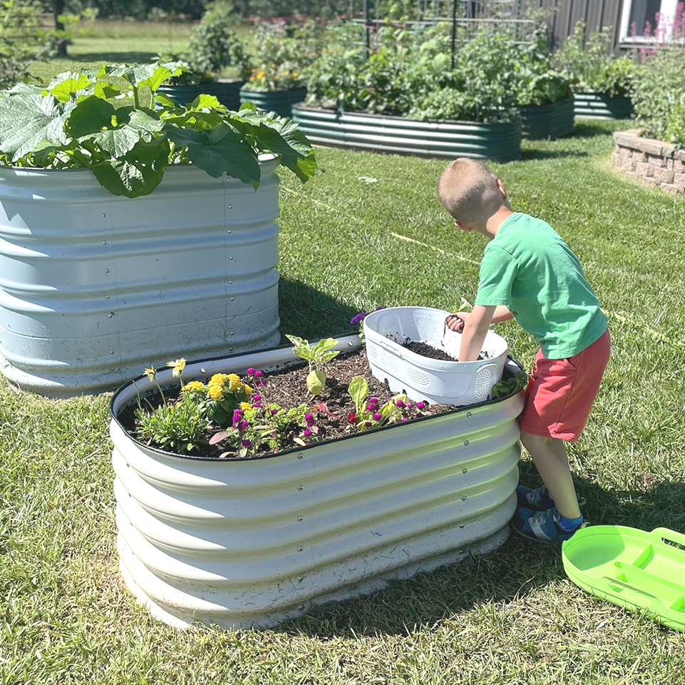 Our garden