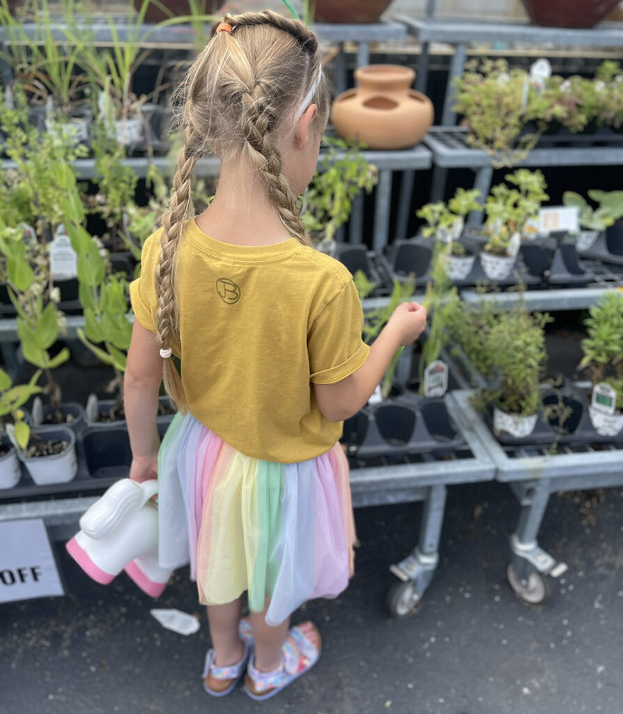 Picking out herbs for the garden