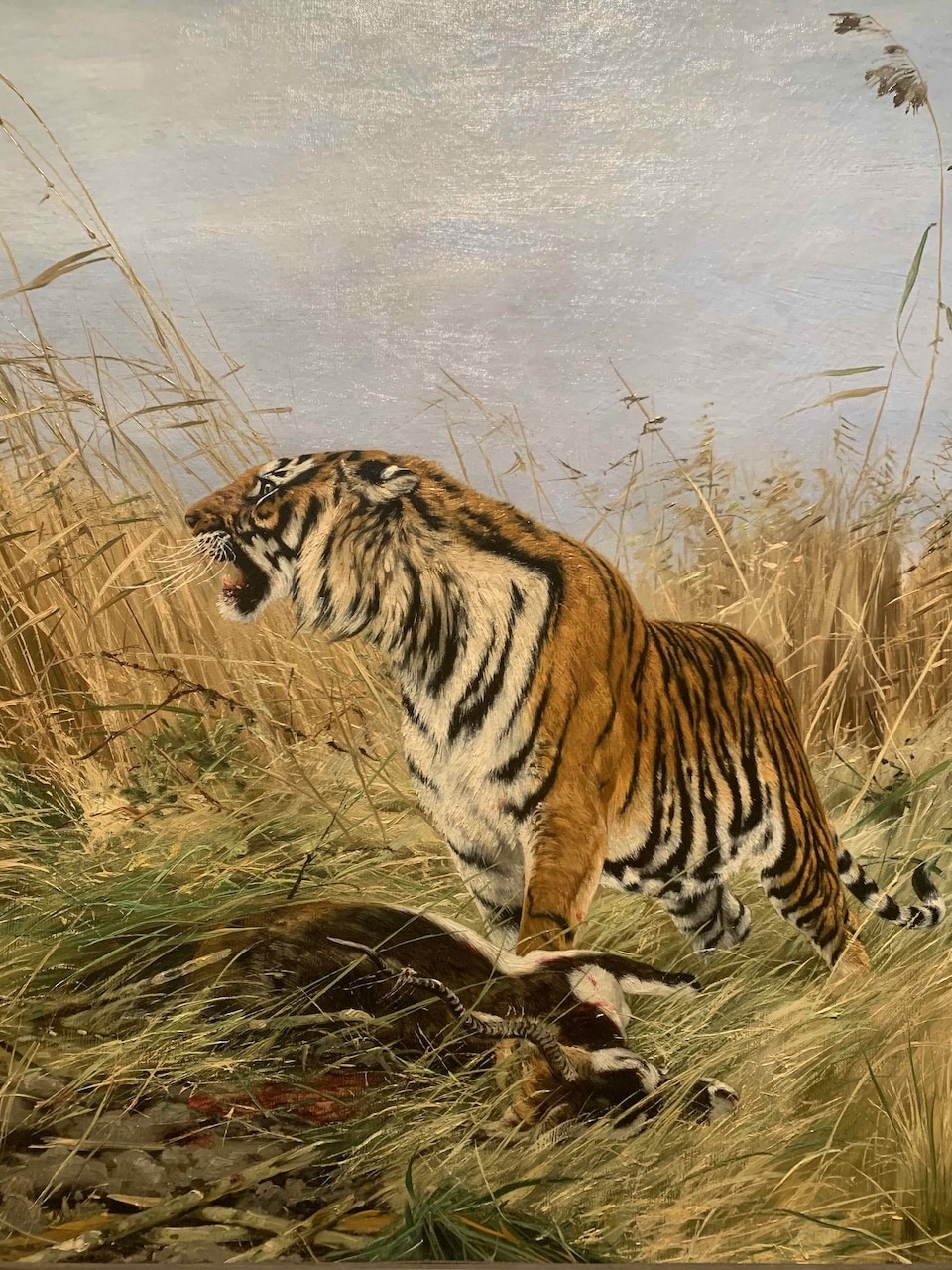 A magnified part of Richard Friese’s “Tiger with Blackbuck.” The detail in the tiger’s fur and the blackbuck’s horns is phenomenal. Nelson-Atkins’ “Survival of the Fittest” Wildlife Paintings