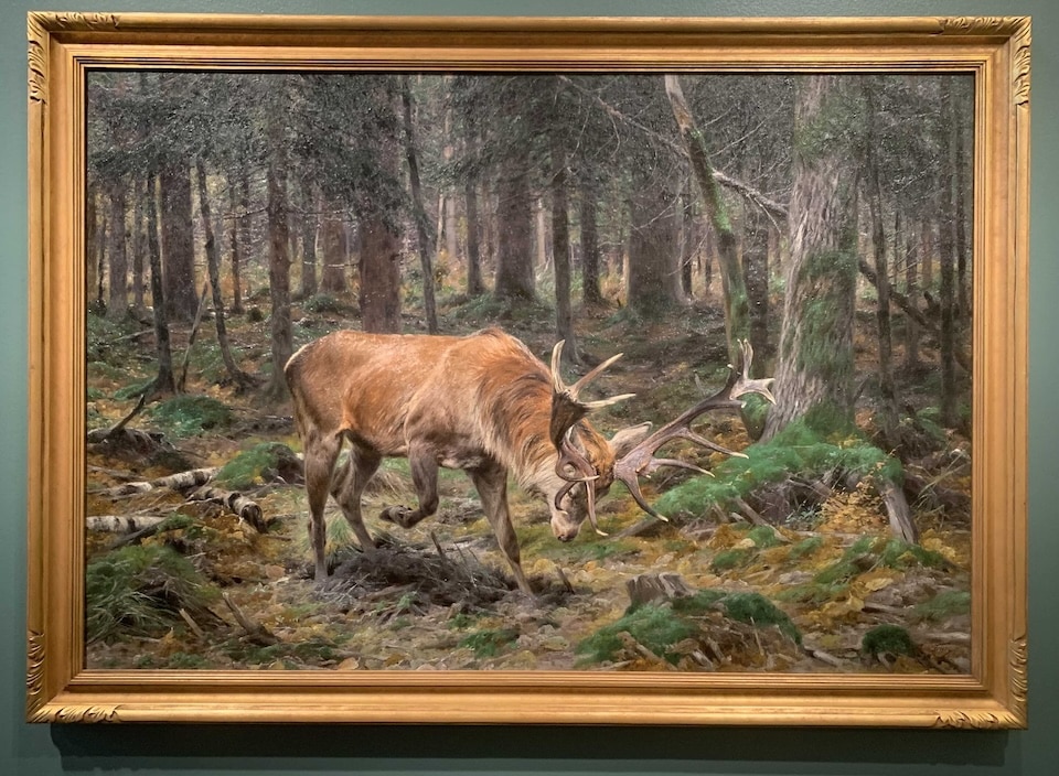 “Deer in a Forest Glade,” 1912, Richard Friese Nelson-Atkins’ “Survival of the Fittest” Wildlife Paintings