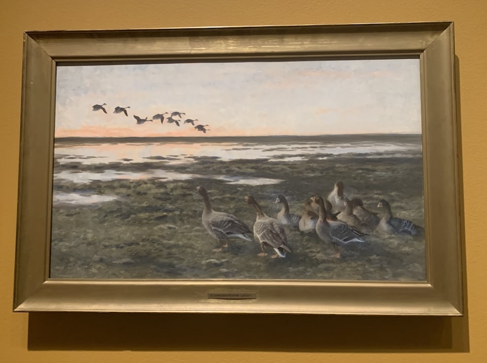 “Greylag Geese at Sunset,” 1921, Bruno Lilgefors. Nelson-Atkins’ “Survival of the Fittest” Wildlife Paintings