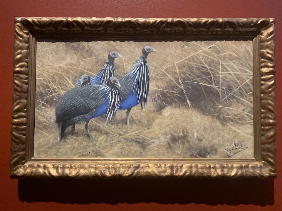 “Guinea Fowl,” about 1905, Wilhelm Kuhnert. These are the more decorative relatives of the domesticated guinea fowl we see on farms.
