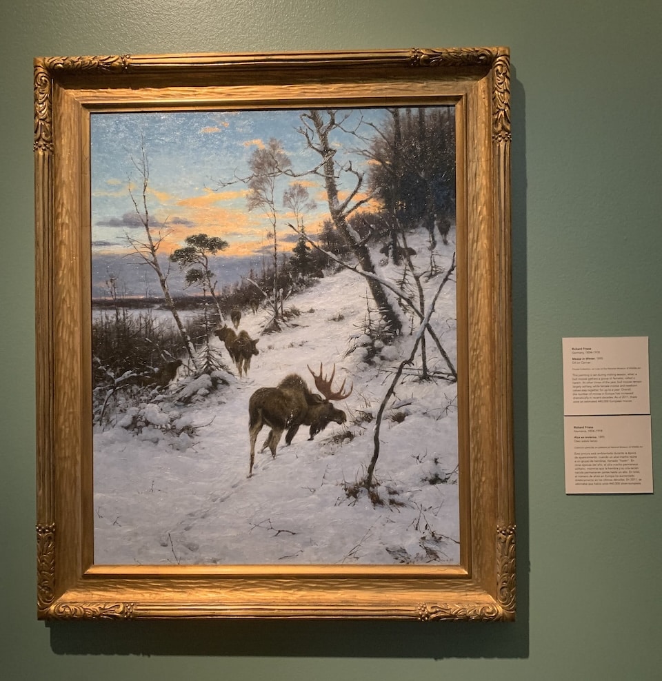 “Moose in Winter,” 1895, Richard Friese