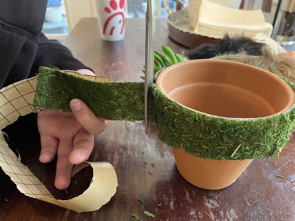 cutting moss band for clay gnome pot