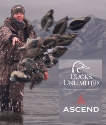 Ascend Press Release feature
