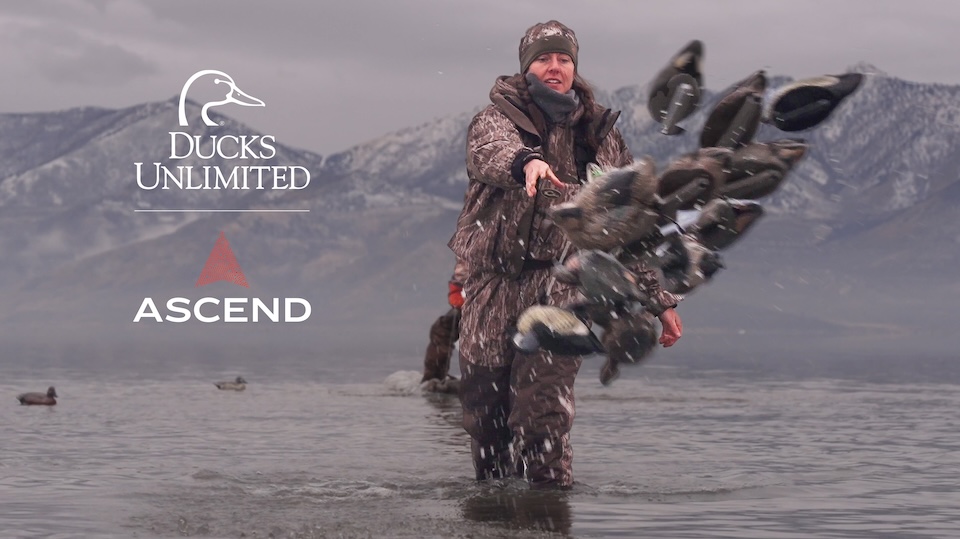 Ascend Press Release Ducks Unlimited