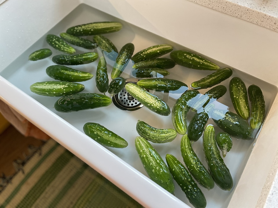 Cucumbers in cold water