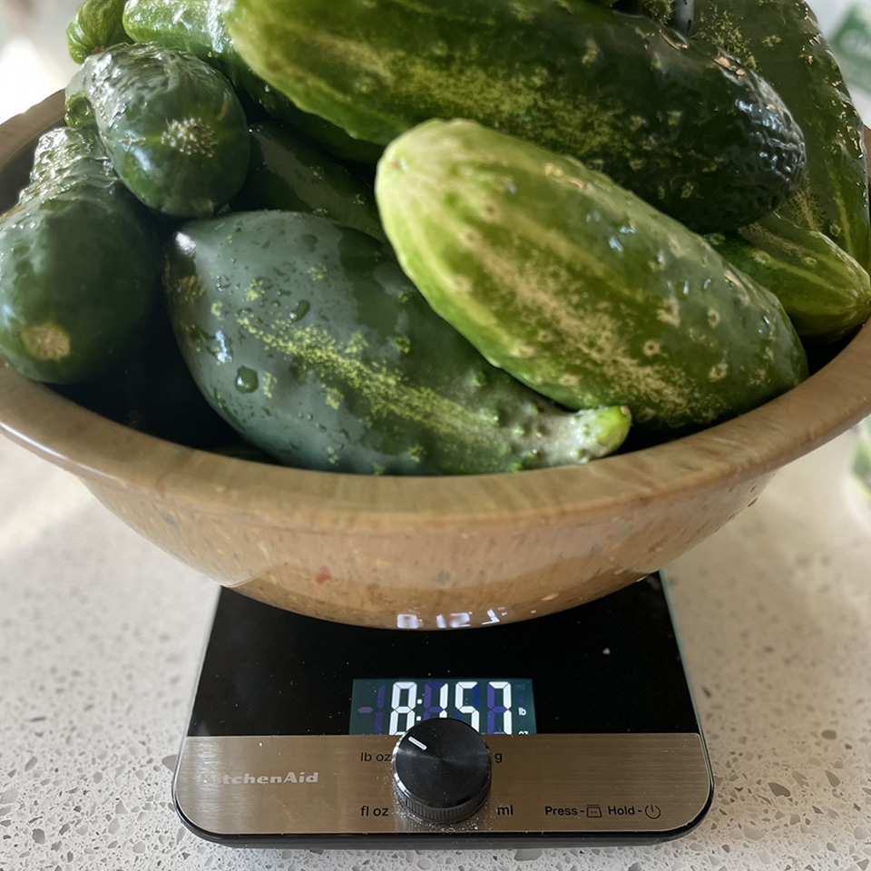 Cucumbers on the scale