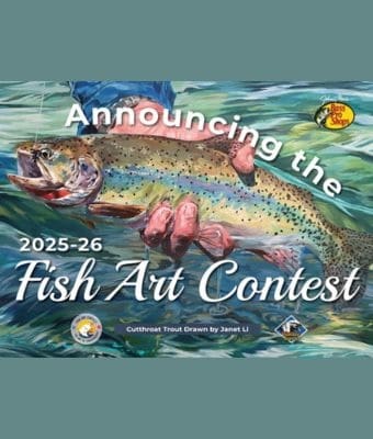 Fish Art Contest feature