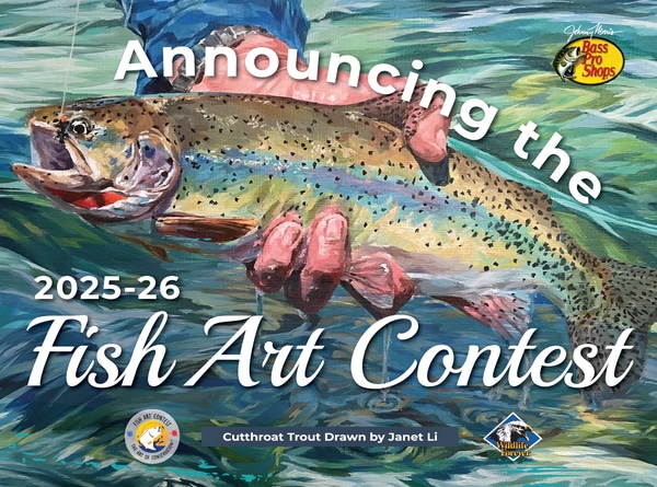 Fish Art Contest
