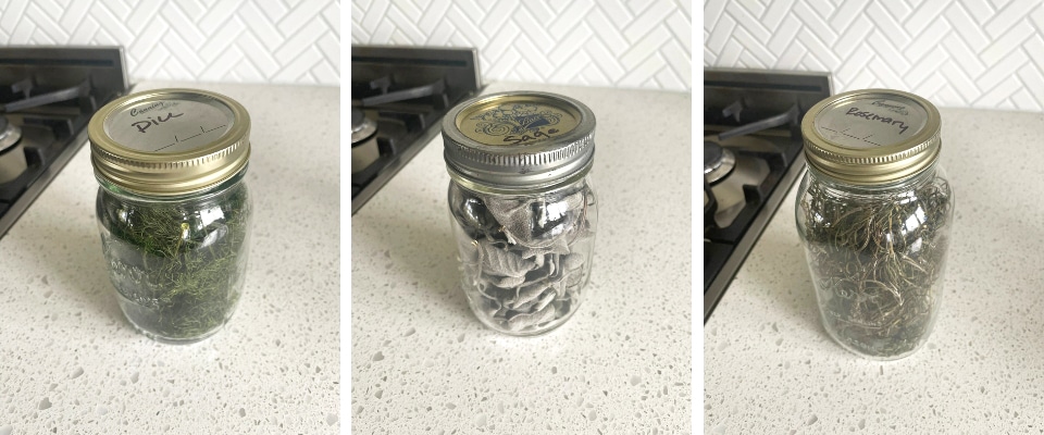 Dehydrated herbs in jars on counter