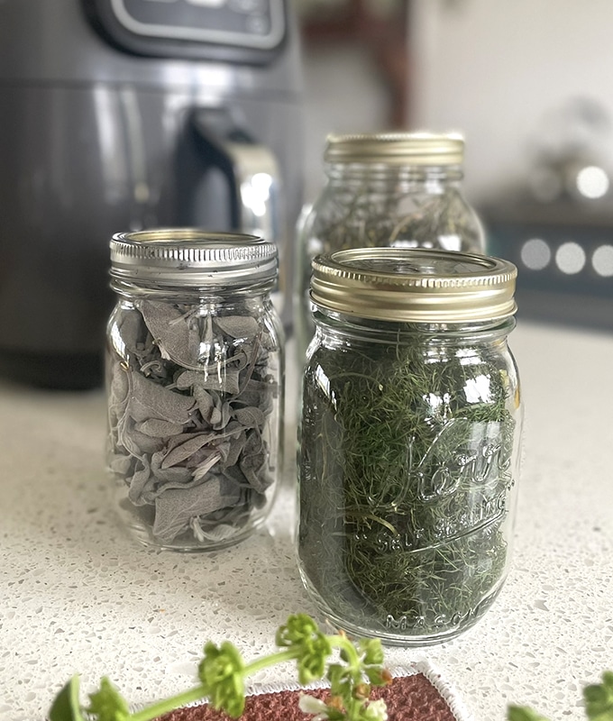 How to Dry Herbs in the Air Fryer feature
