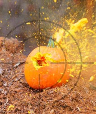 NSSF_25_OCT feature