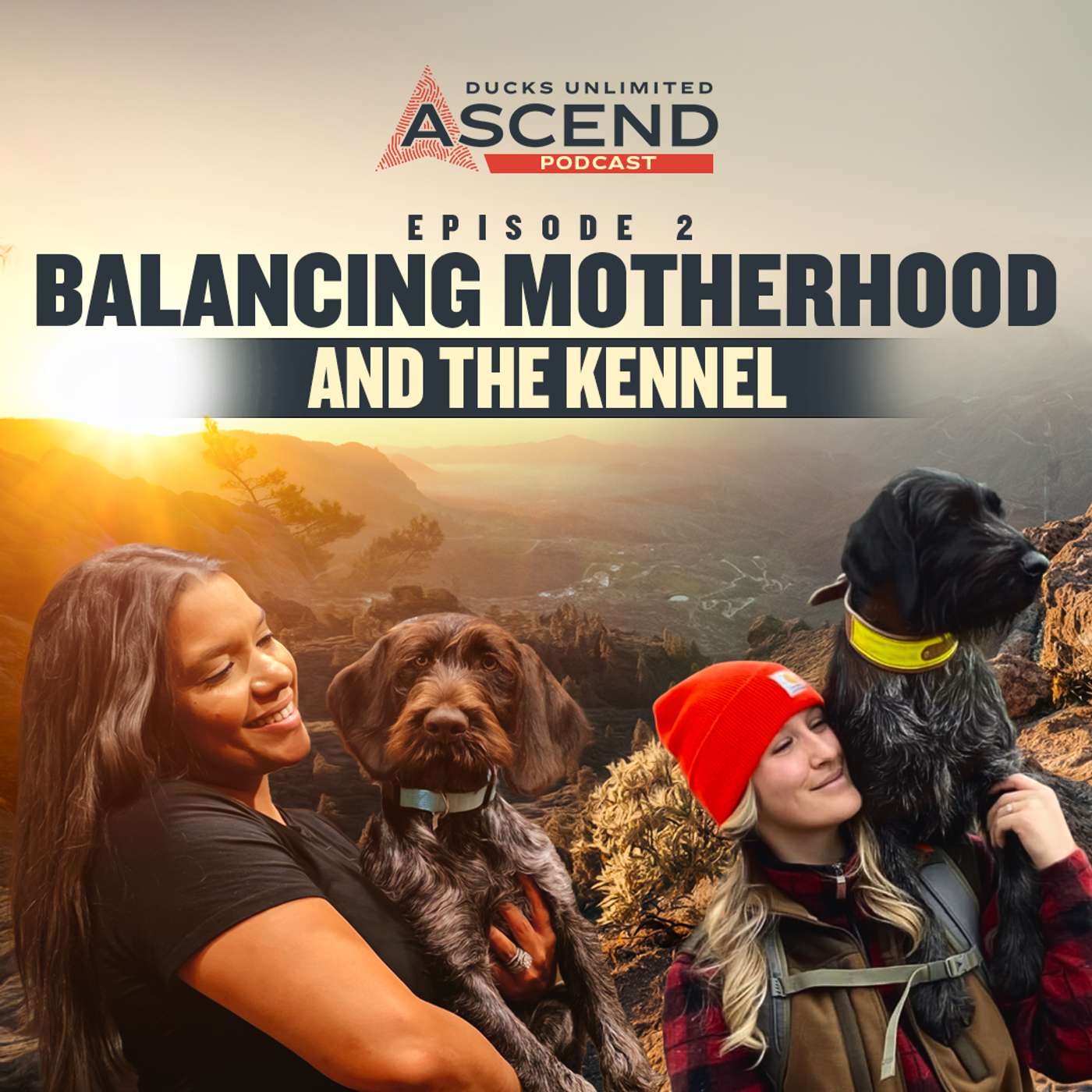 Ascend Podcast by Ducks Unlimited