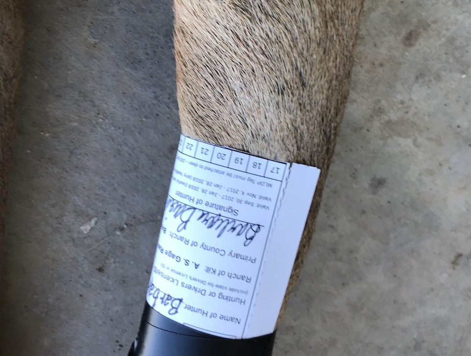 deer tag Things You Must Do to Hunt