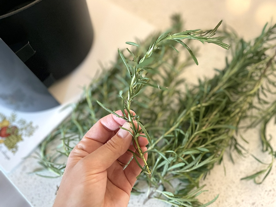 removing rosemary from woody stem