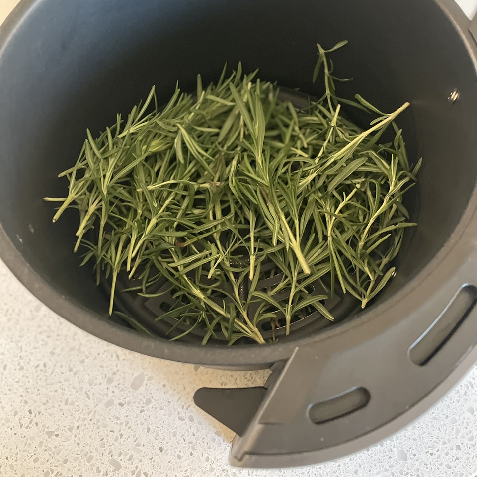 rosemary ready to be dried