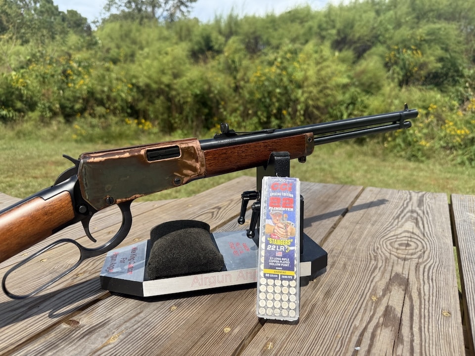 Favorite Ammo The CCi Stangers