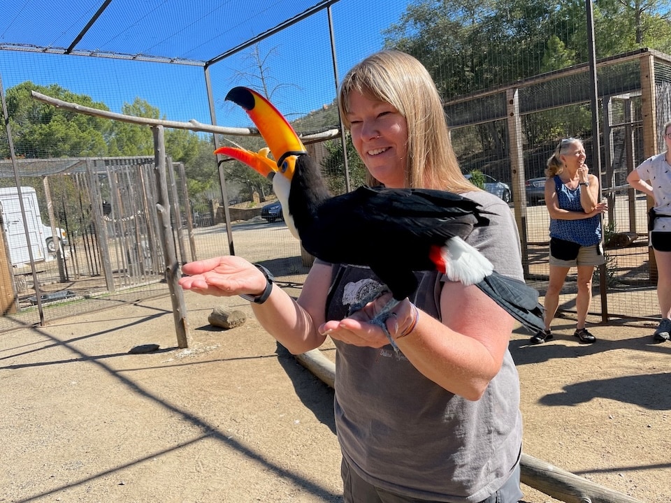 Melissa Hill ABI Chiquita Toucan Raptor Education Specialist