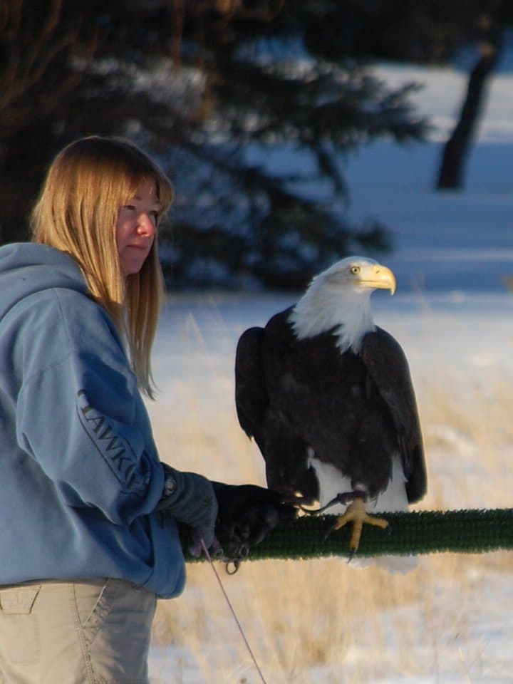 Melissa Hill Bald Eagle Raptor Education Specialist