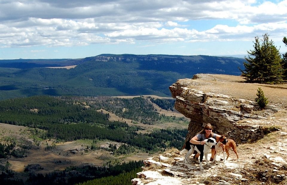 Melissa Hill Bighorns View