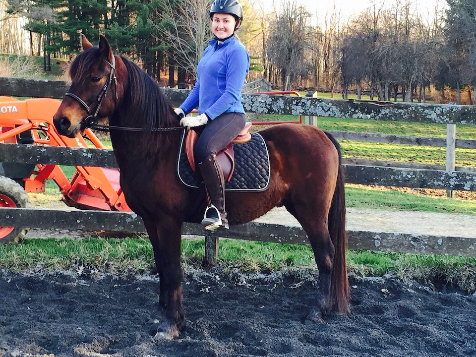 Katie Hostetler Riding Horse