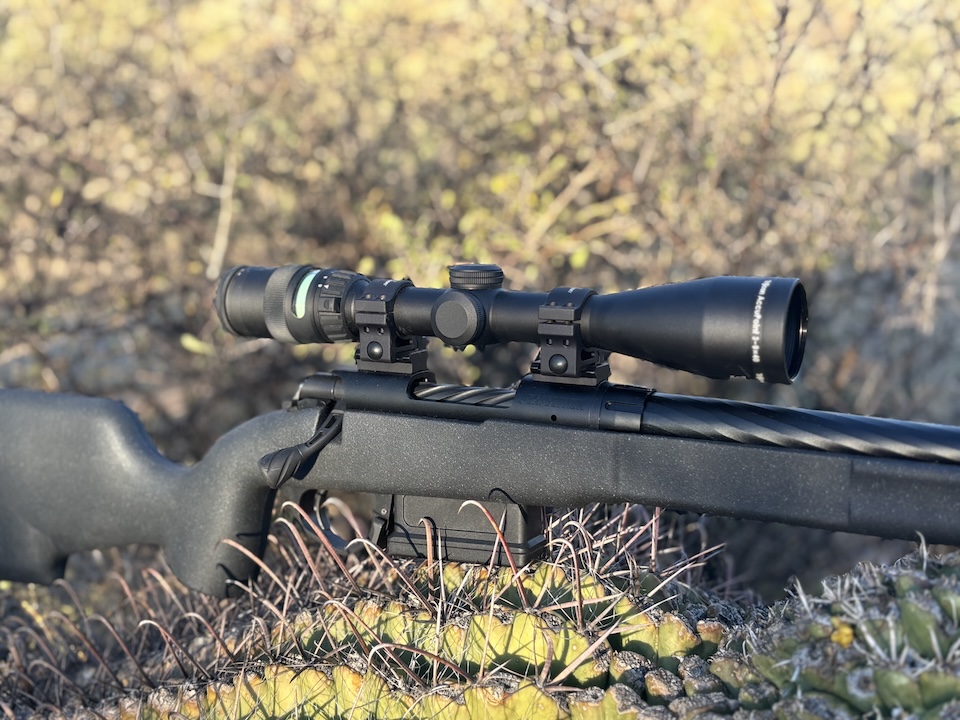 Rifle on cactus Taurus Expedition