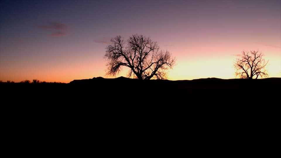 hunting sunrise