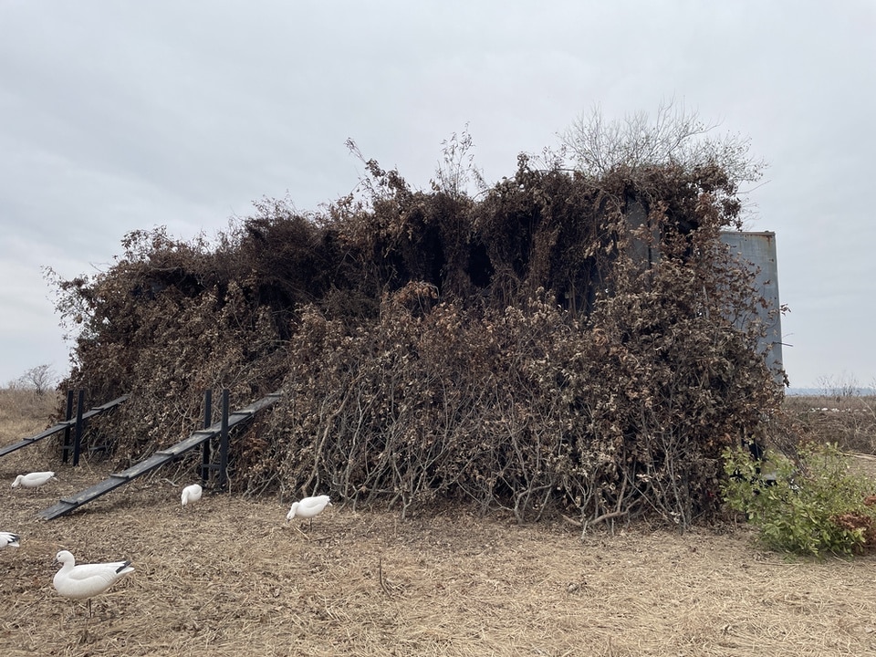 The Circus B.A.D. Arkansas