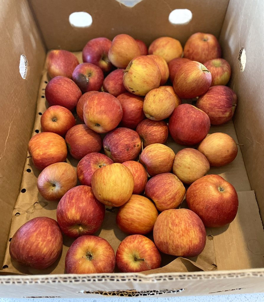 crate of apples for apple butter