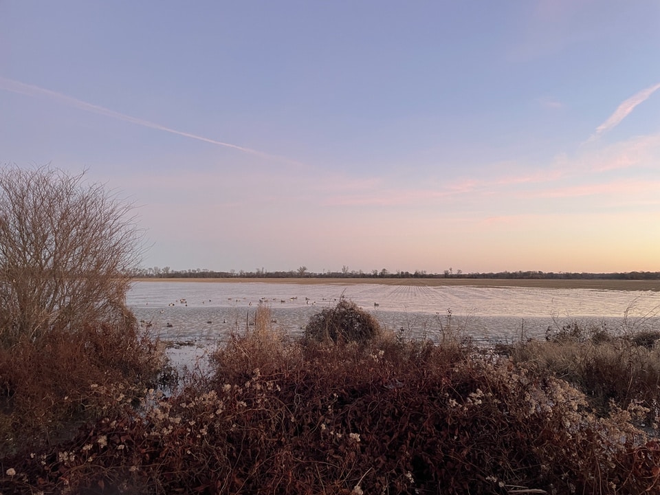 sunrise on duck blind