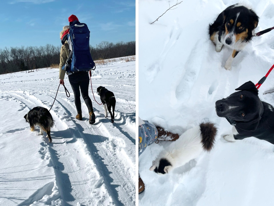 Osprey Poco Plus walking the dogs