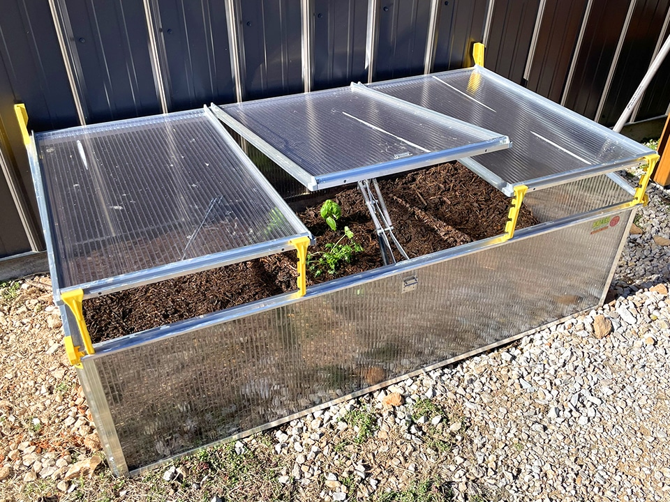 Planted cold frame