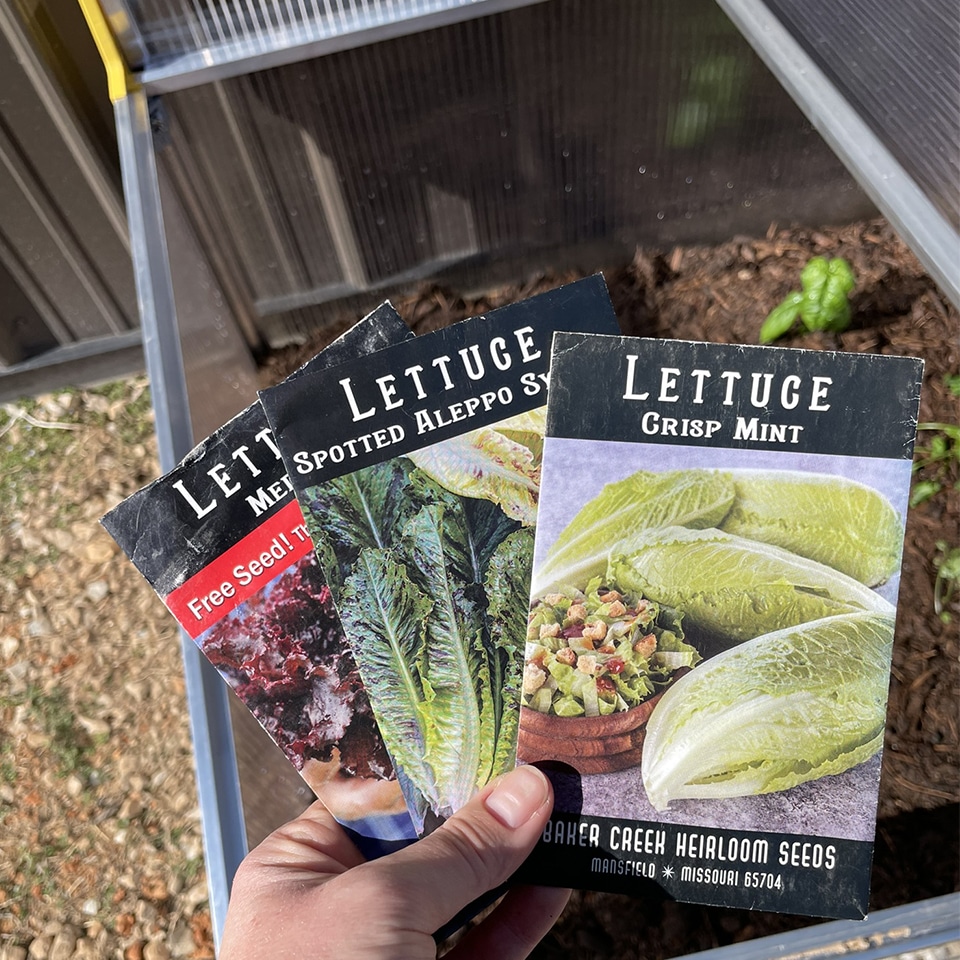 Seed packets with cold frame