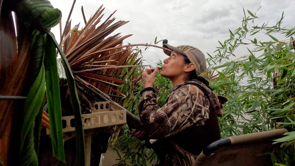 Stephany Kuchera ascend