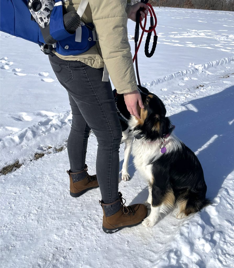 Walking dogs in Icebug Adak ReWool Women's BUGrip Boots