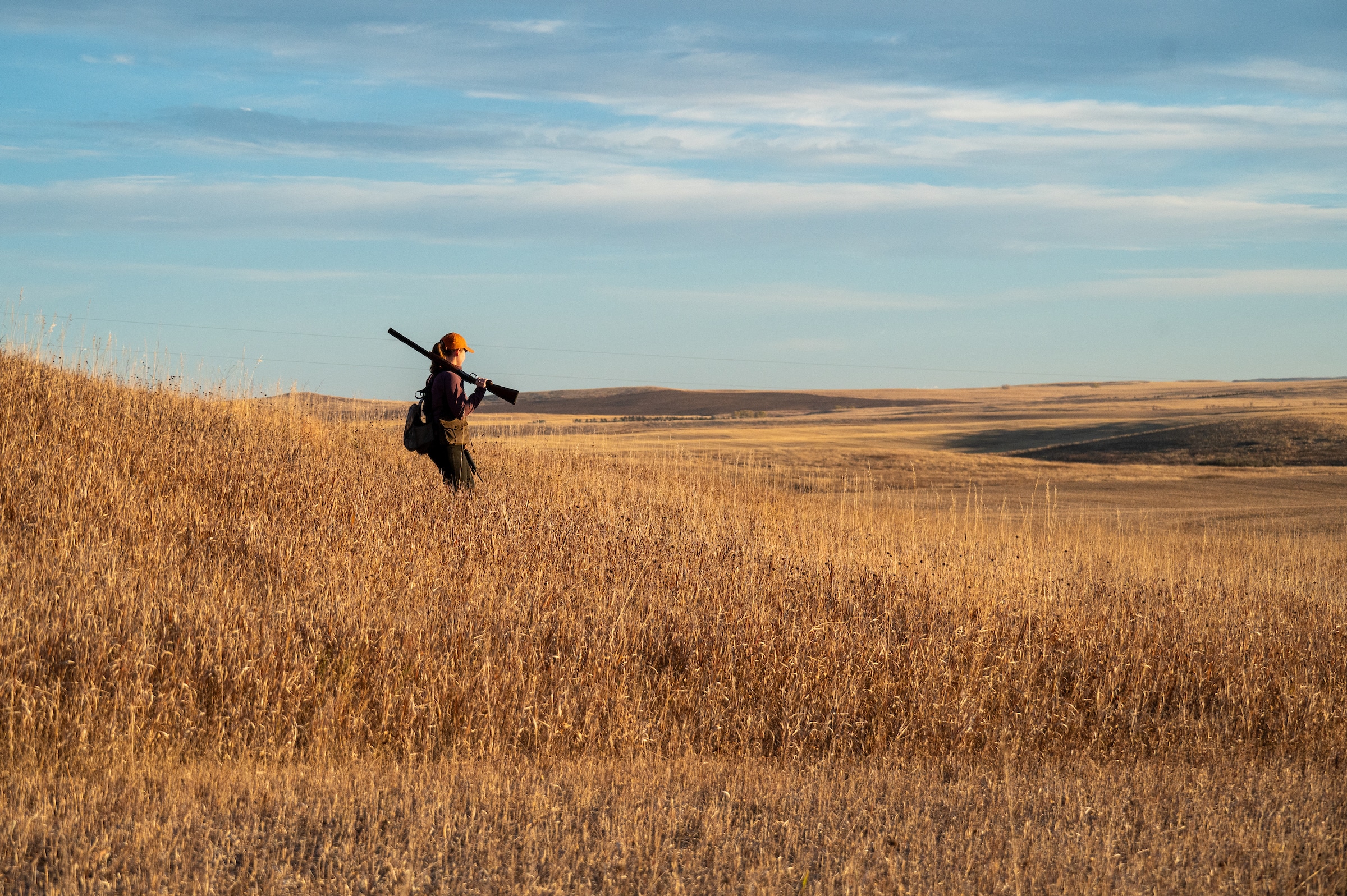 pheasants forever 2 General CRP