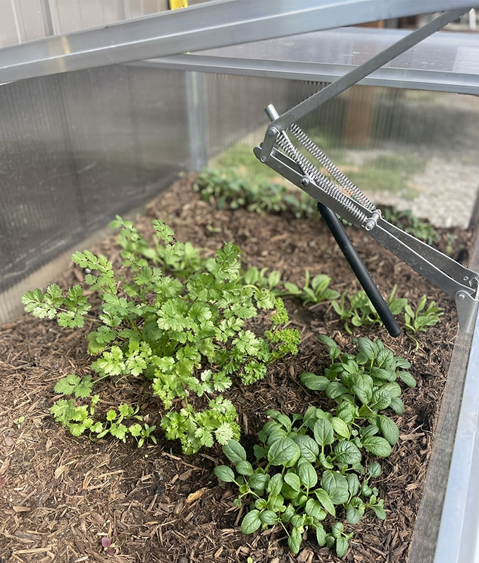 Cold Frame feature