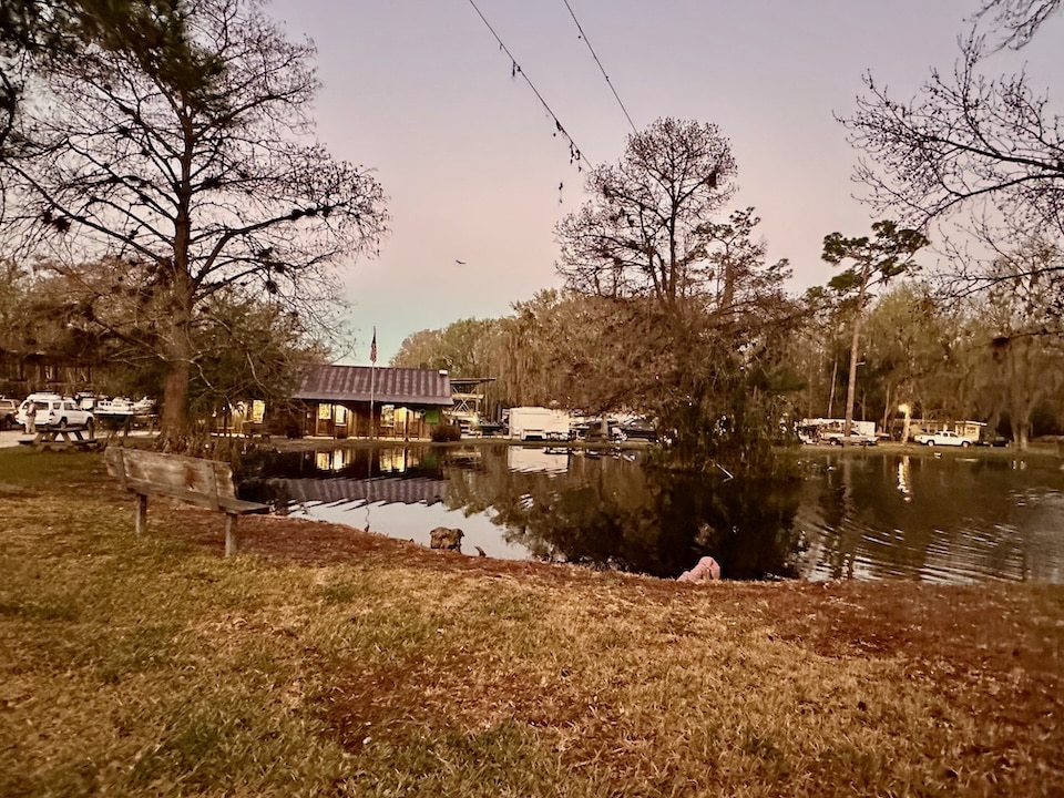 Fish camp pond with bobbers West Volusia County