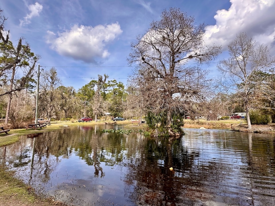 Highland Park Fish Camp pond