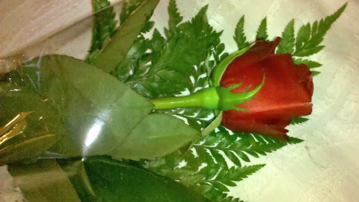 Rose Golob Bianchi