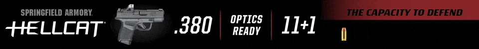SA hellcat 380 banner HZ